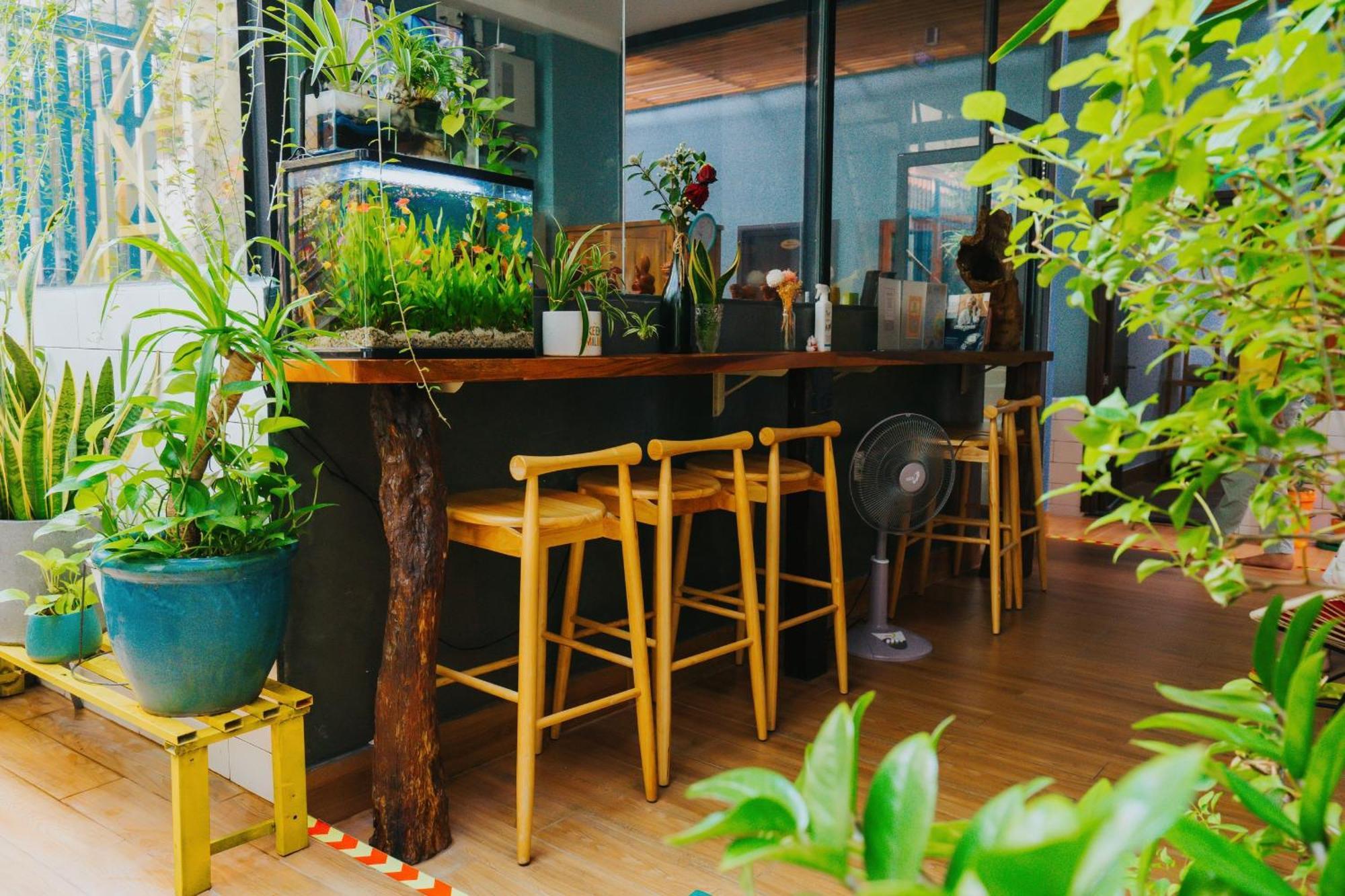 Vania House * TP. Hồ Chí Minh